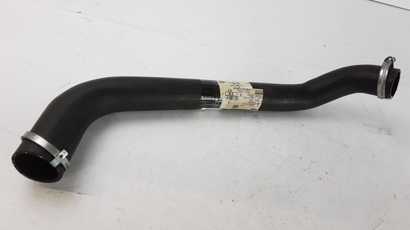 Original OE FORD Ladeluftschlauch 1503737