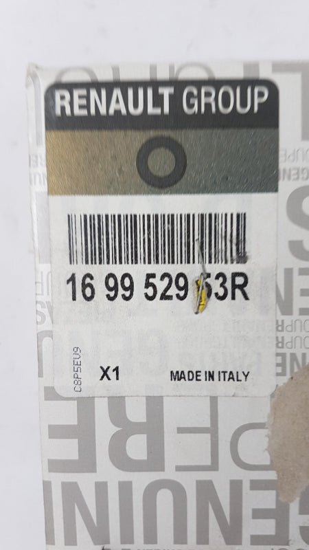 Original OE RENAULT Schlauch 169952953R