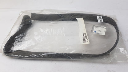 Original OE OPEL Türdichtung 91165877