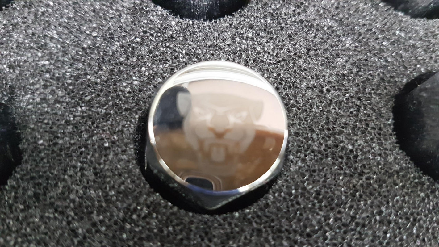 Original JAGUAR F-Type XK XE XF XJ Radmuttern 20-teilig Satz chrom C2D20072