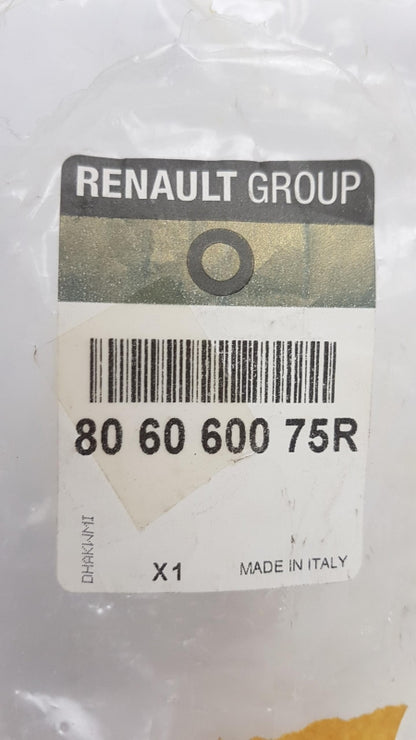 Original OE RENAULT Türgriff Träger 806060075R