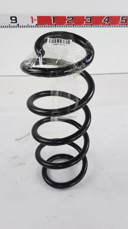 Original RENAULT Duster I Fahrwerksfeder Hinten 550207471R