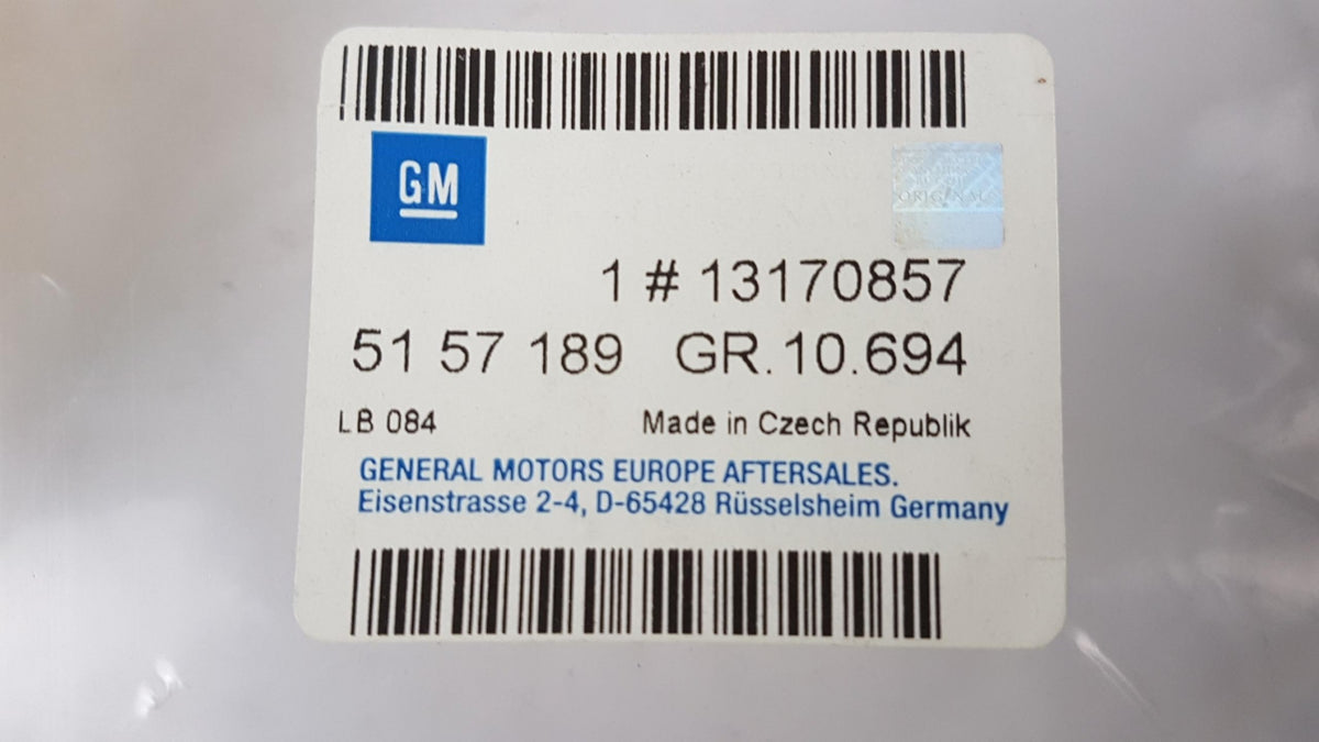 Original OE OPEL Türdichtung 13170857