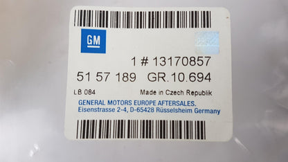 Original OE OPEL Türdichtung 13170857