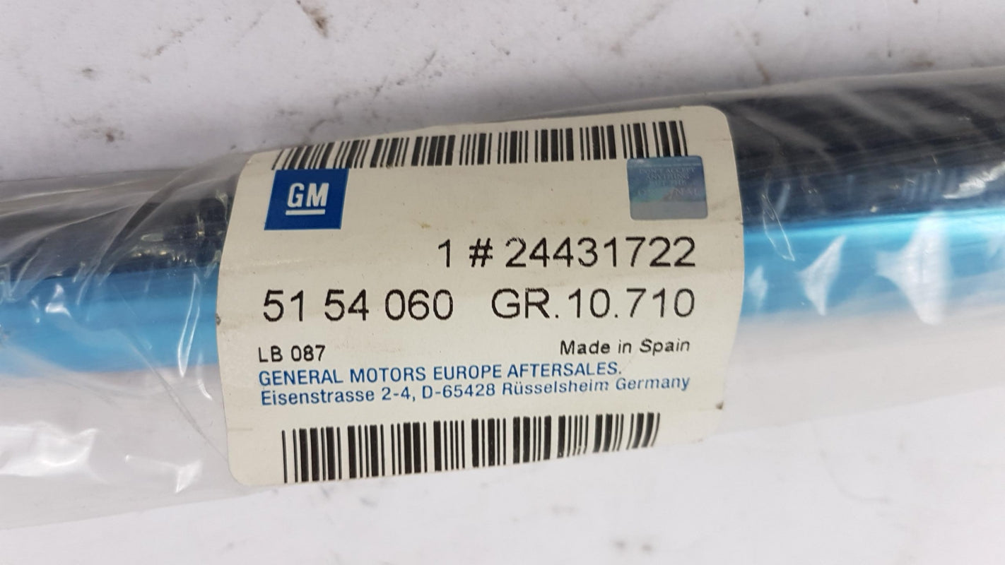 Original OPEL Vectra-C Türscheiben Dichtung hinten rechts 24431722