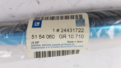 Original OPEL Vectra-C Türscheiben Dichtung hinten rechts 24431722