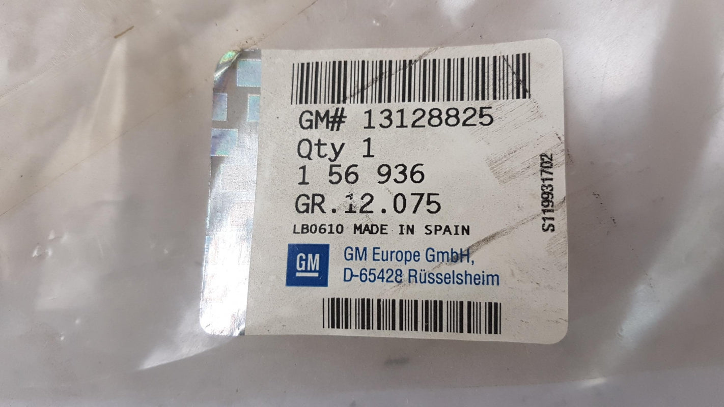 Original OE OPEL Türscheiben Dichtung 13128825