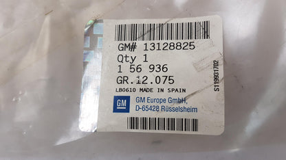 Original OE OPEL Türscheiben Dichtung 13128825