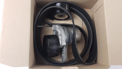 Original OE RENAULT Zahnriemensatz 117202957R