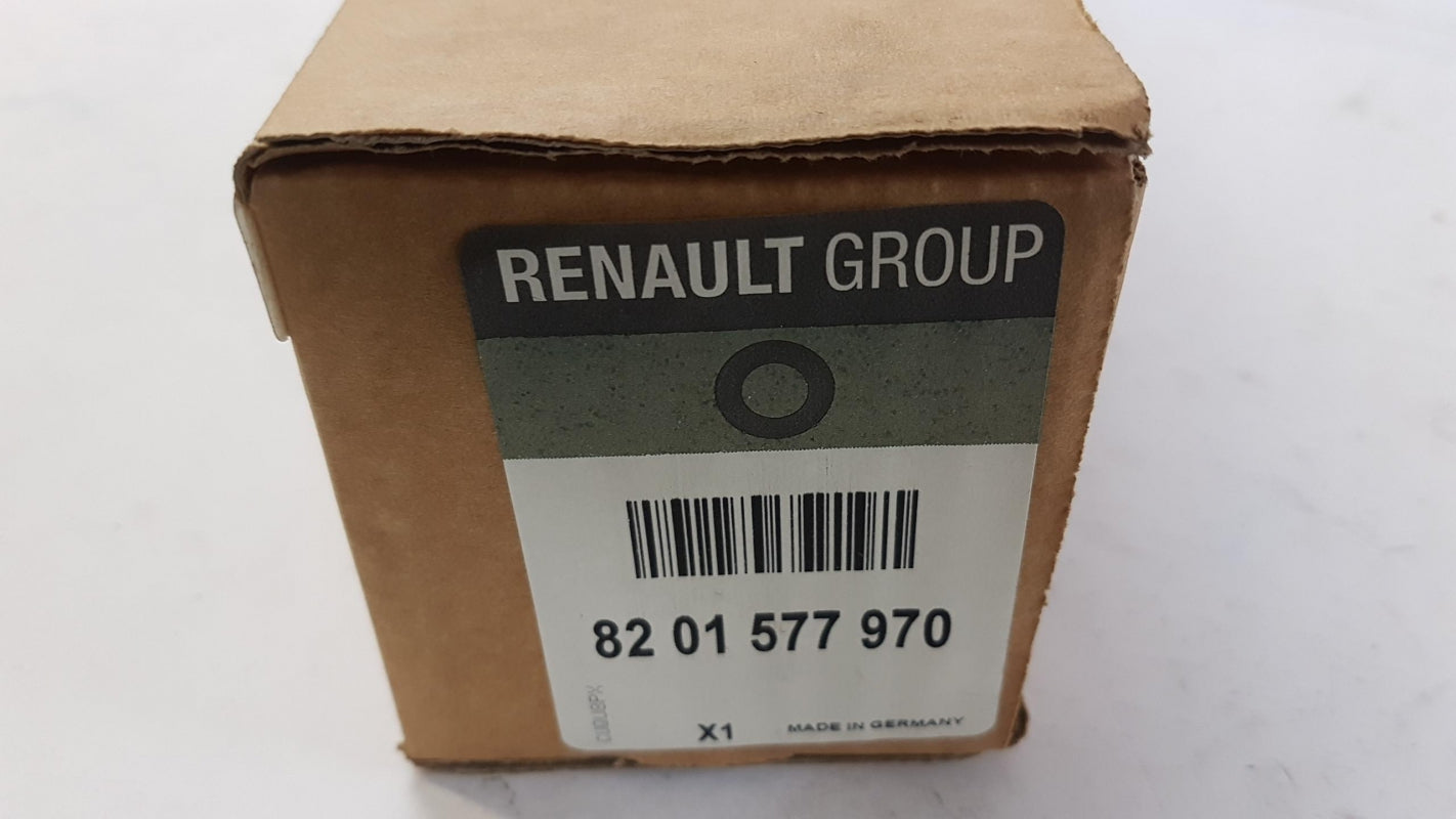 Original RENAULT Megane IV Einstiegsleisten Beleuchtete Vorne 8201577970