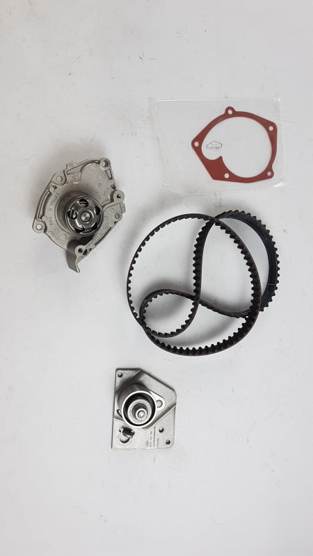 Original OE RENAULT Wasserpumpe + Zahnriemenkit 119A01812R