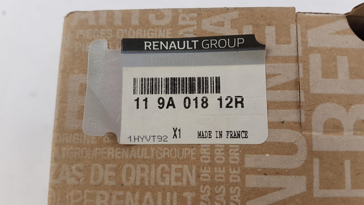 Original OE RENAULT Wasserpumpe + Zahnriemenkit 119A01812R