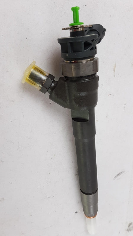 Original OE RENAULT Injektor Düse 166007246R