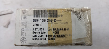 Original OE Volkswagen Ventil 06F109257C