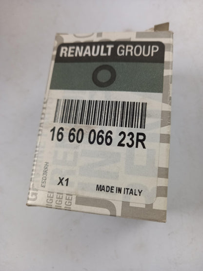 Original RENAULT Logan Sandero I Clio IV Modus Injektor Düse 166006623R