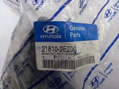 Original OE HYUNDAI/KIA Motorlager 218102E200
