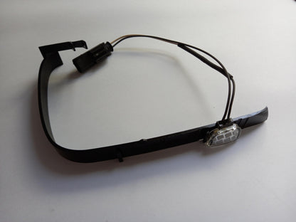 Original OE Volkswagen Außenspiegel Licht 3U0945291C01C