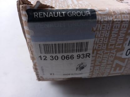 Original RENAULT Master III OPEL Movano-B 2.3 dCi Schwungrad 123006693R