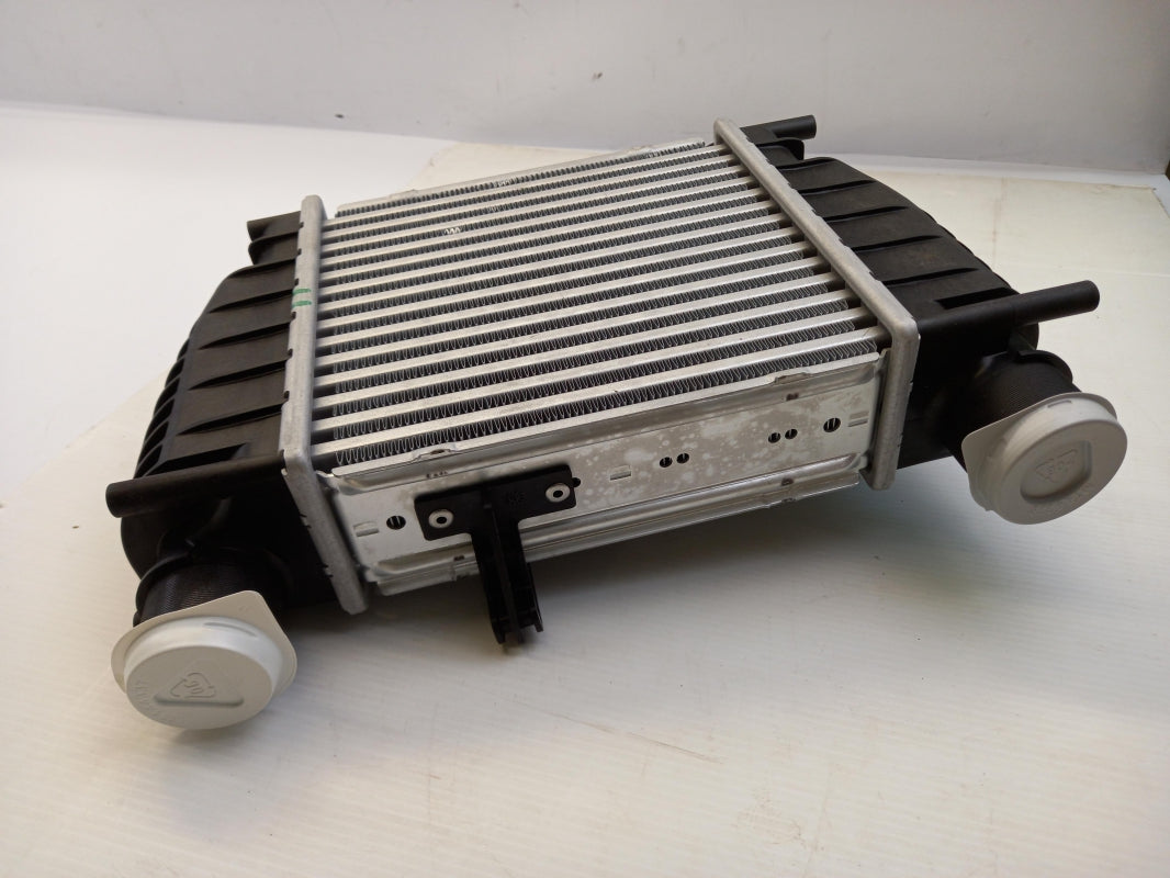 Original NISSAN Cube Juke (F15) NV200 Tiida Ladeluftkühler 14461EM00A