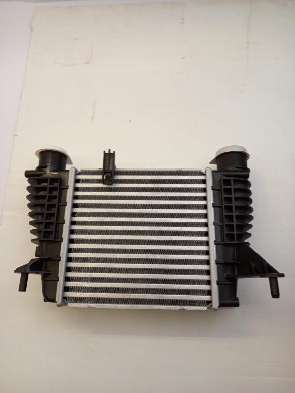 Original NISSAN Cube Juke (F15) NV200 Tiida Ladeluftkühler 14461EM00A