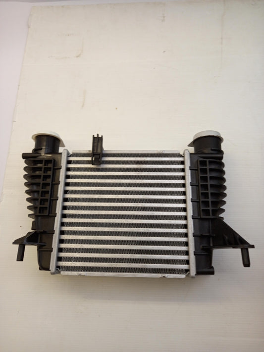 Original NISSAN Cube Juke (F15) NV200 Tiida Ladeluftkühler 14461EM00A