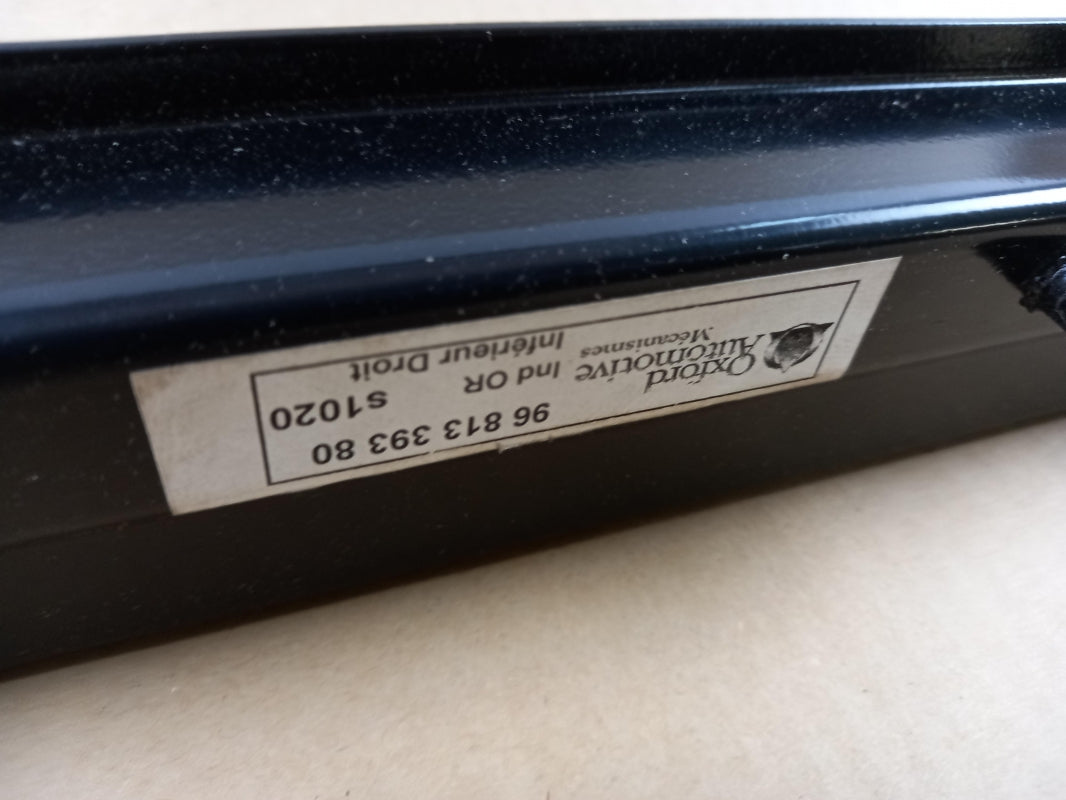 Original OE Peugeot Tür Führungsschiene 9033X4