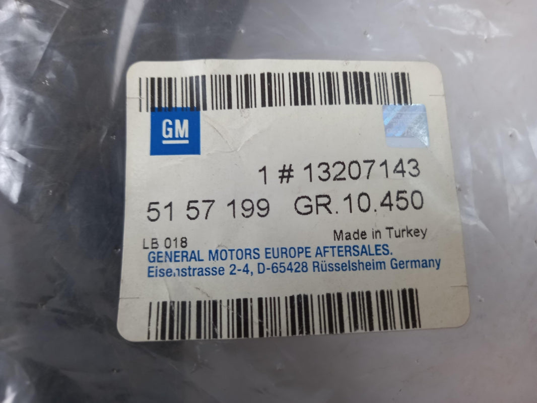 Original OE OPEL Türdichtung 13207143