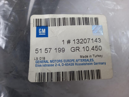 Original OE OPEL Türdichtung 13207143
