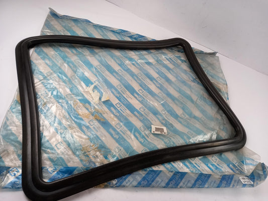 Original OE FIAT Türscheiben Dichtung 46748929