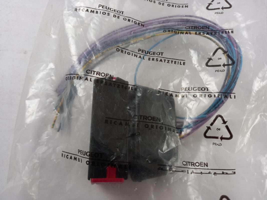 Original CITROEN Saxo Stecker Gehäuse 6542WC