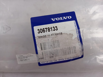 Original OE VOLVO Tür Zierleiste 30678133