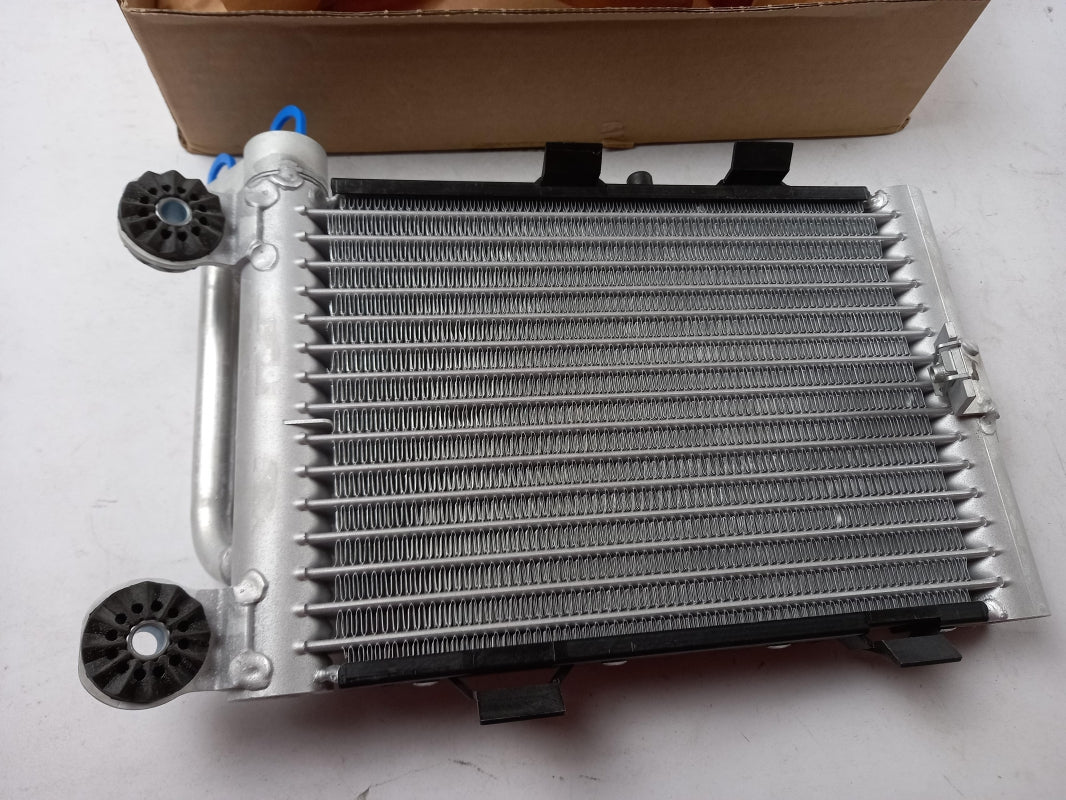 Original BMW X3 E83 (2003-2010) Motorölkühler 2.5si 3.0i 3.0si 17213448627