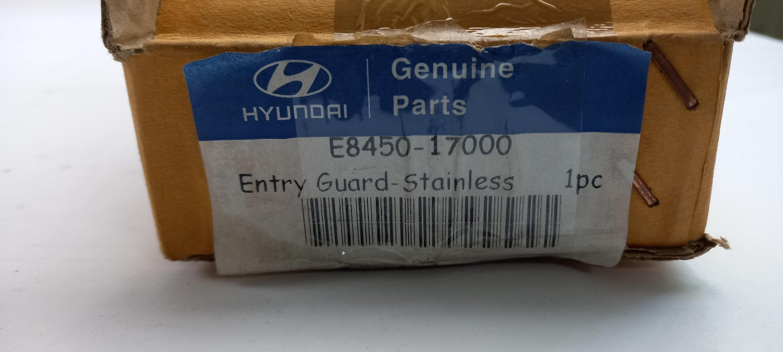 Original HYUNDAI Matrix Einstiegsleistensatz Edelstahl vorne E845017000