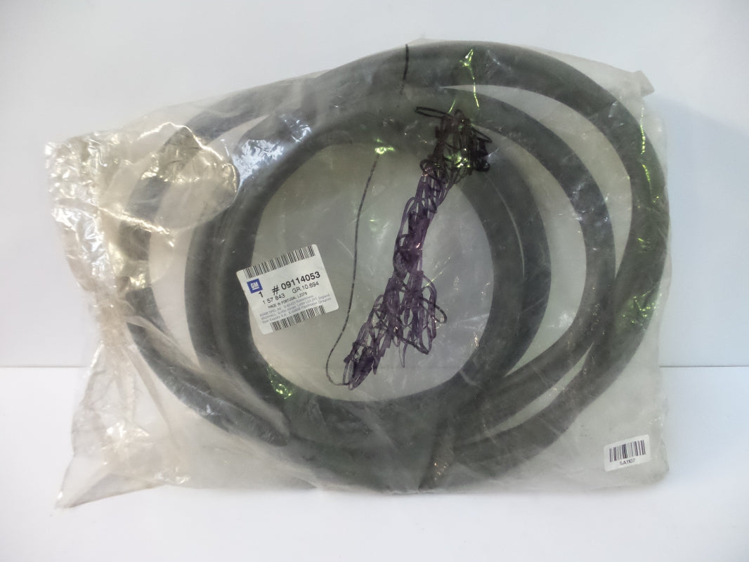 Original OE OPEL Türdichtung 9114053