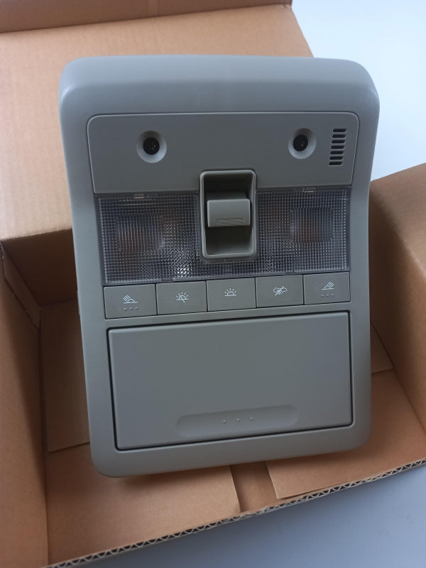 Original OPEL Antara (2006-2015) Innenleuchte Beleuchtung Vorne 96673775