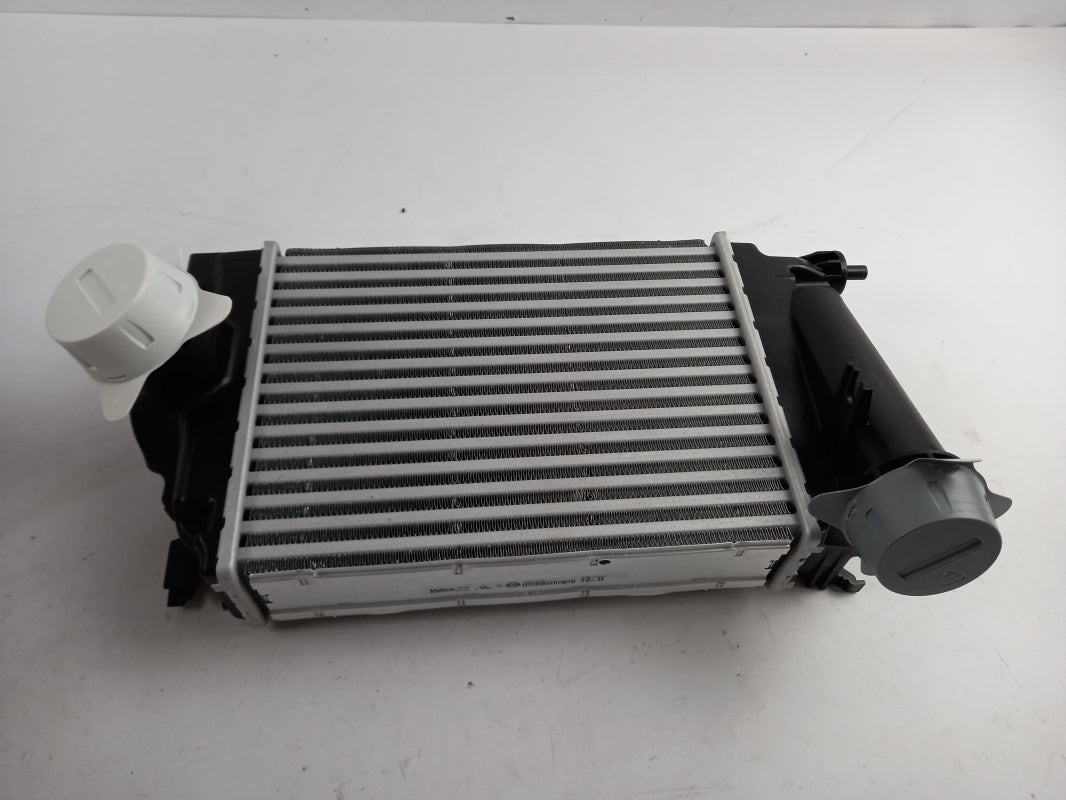 Original NISSAN Qashqai J11 1.2 Ladeluftkühler 144614EJ1A