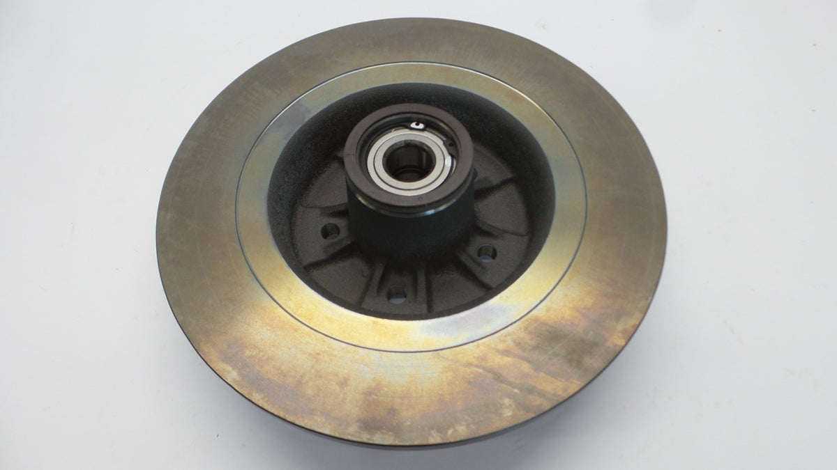 Original RENAULT Megane II Bremsscheibe (1 stück) hinten 8200266043