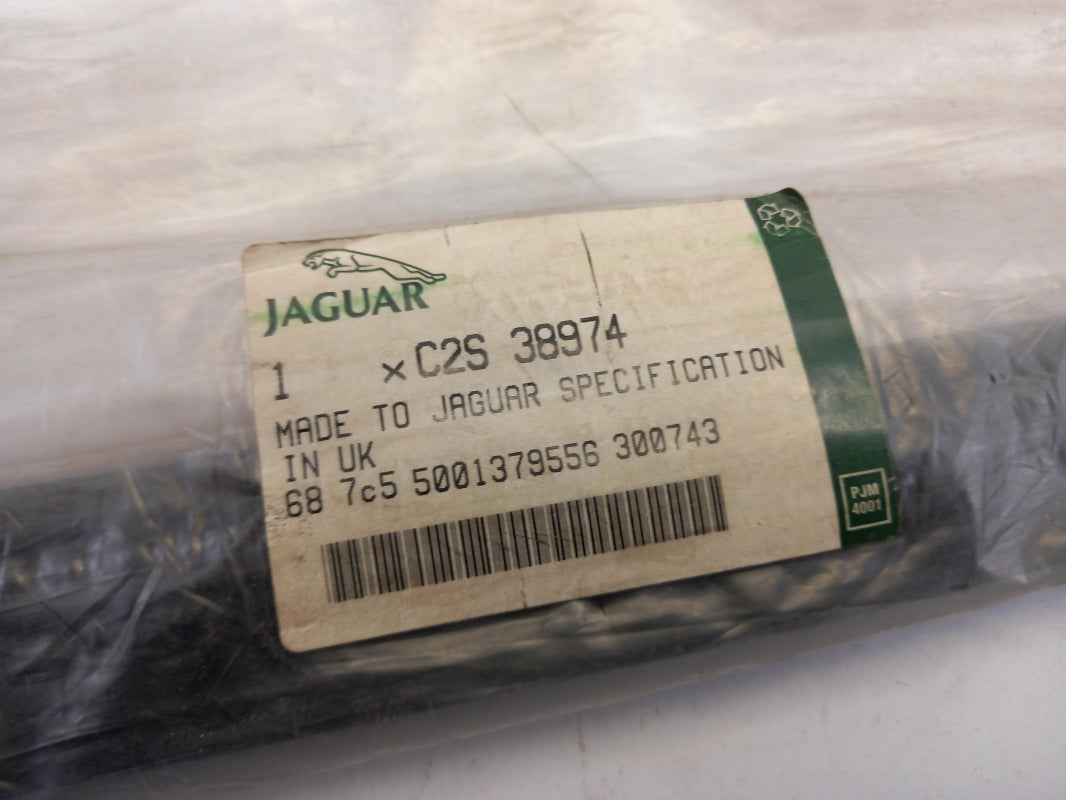 Original OE JAGUAR Türscheiben Dichtung C2S38974
