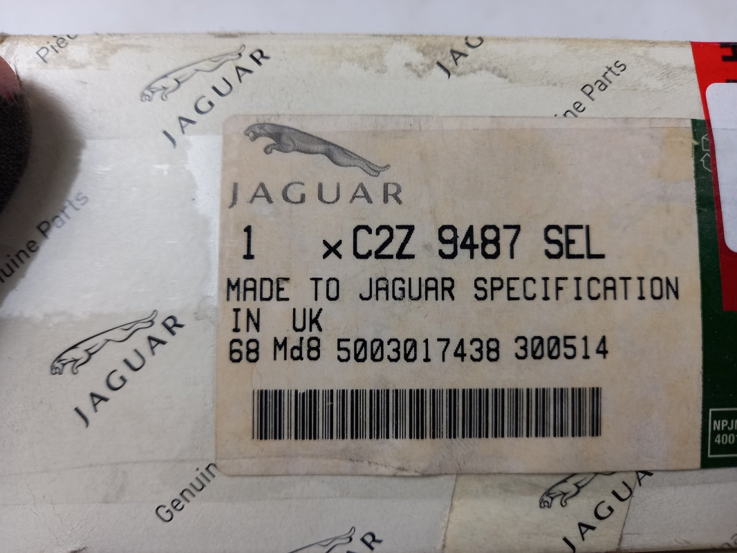Original OE JAGUAR Sitzverstellung Steuerung C2Z9487SEL