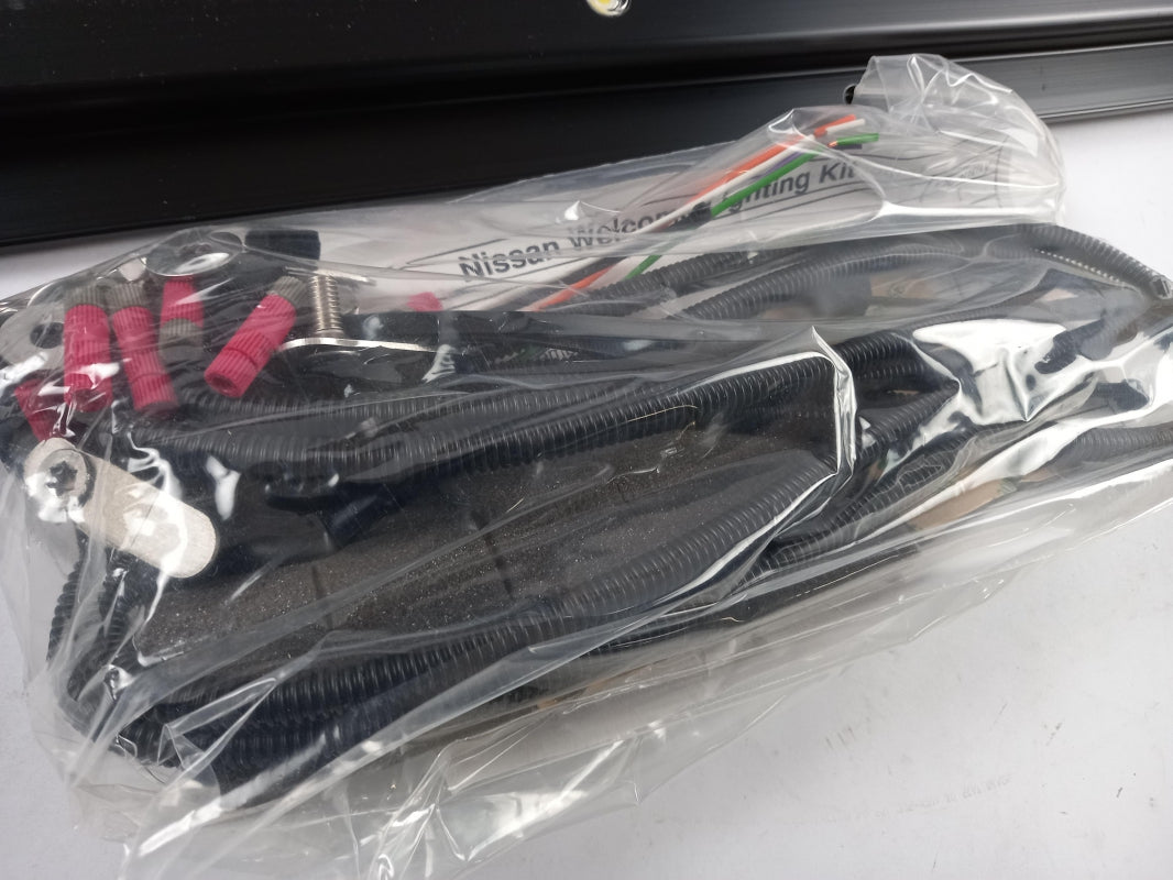 Original NISSAN Qashqai (2014-2017) Willkommenslicht Unterschweller KE2954E001