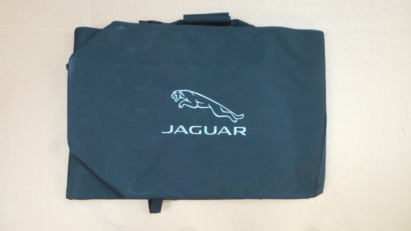 Original JAGUAR E-Pace F-Pace XF Skisack für 2 paar Ski Polyester C2Z23531