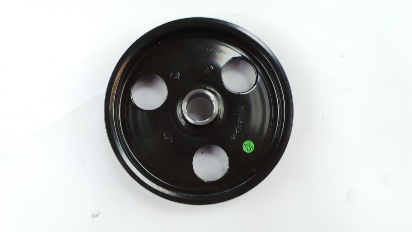 Original RENAULT Duster Kangoo Megane Laguna Servopumpe Riemenscheibe 8200246248