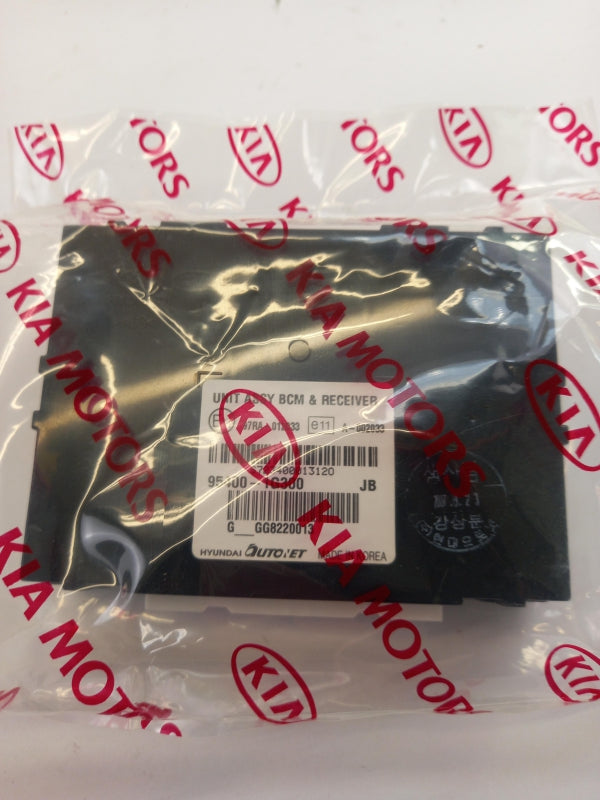 Original KIA Rio central locking control unit 954001G300 