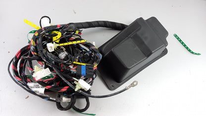 Original OE FIAT Kabelbaum 1366416080