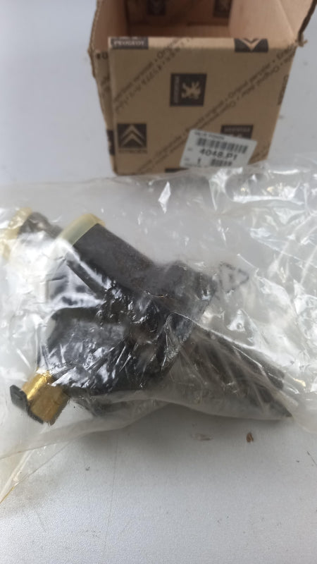 Original OE CITROËN Xantia I II valve 4048P1 