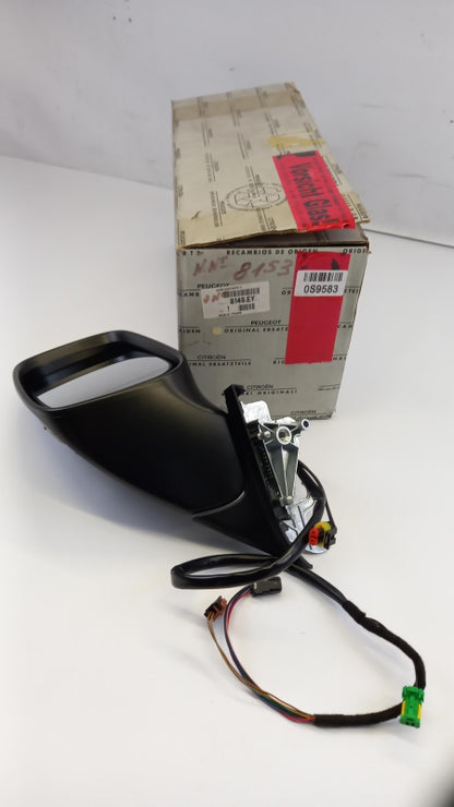 Original OE Peugeot Außenspiegel 8149EY