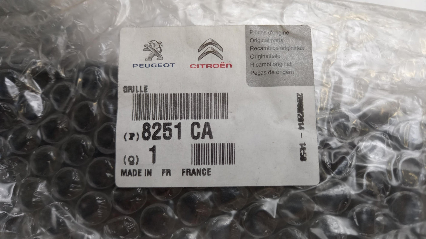 Original OE Peugeot Wasserabweiser 8251CA