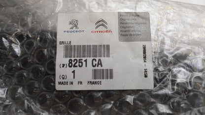 Original OE Peugeot Wasserabweiser 8251CA