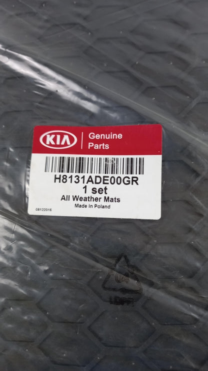 Original OE HYUNDAI/KIA Fußmattensatz H8131ADE00GR