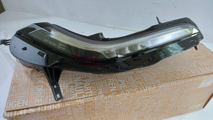 Original OE RENAULT Tagfahrlicht 266009562R
